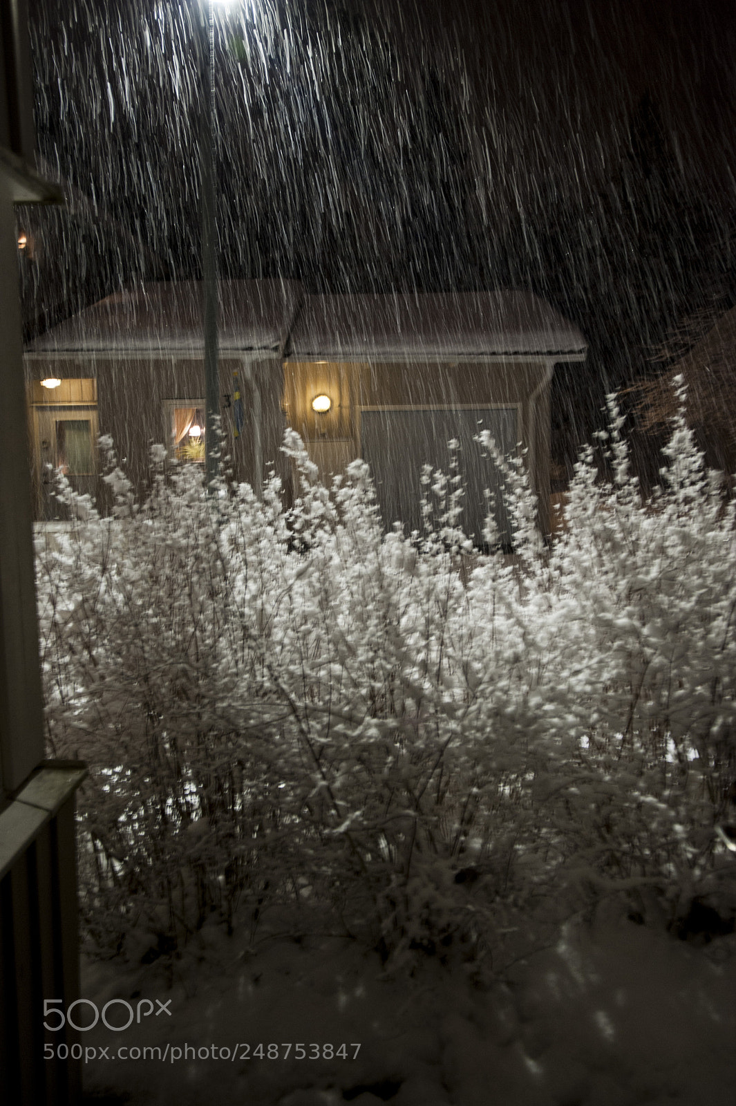 Nikon D700 sample photo. It´s snowing outside. photography
