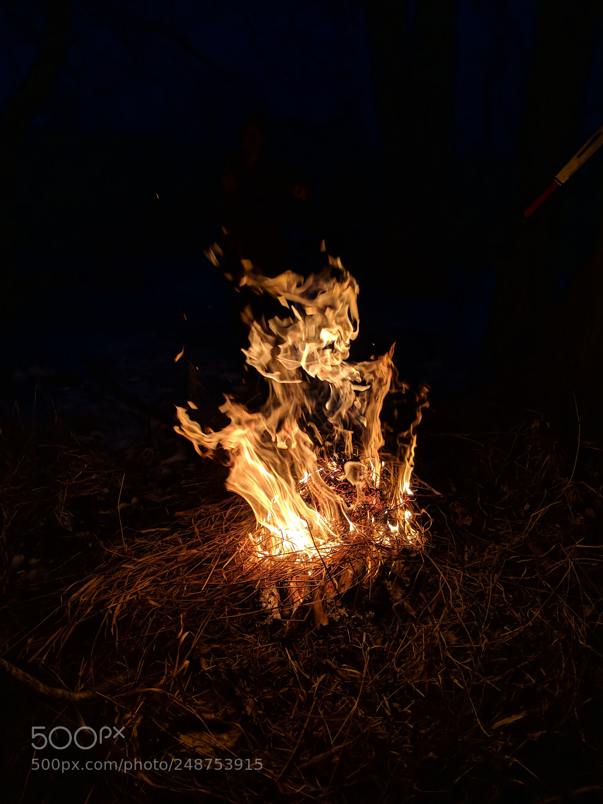 Google Pixel 2 sample photo. Fire in the woods photography