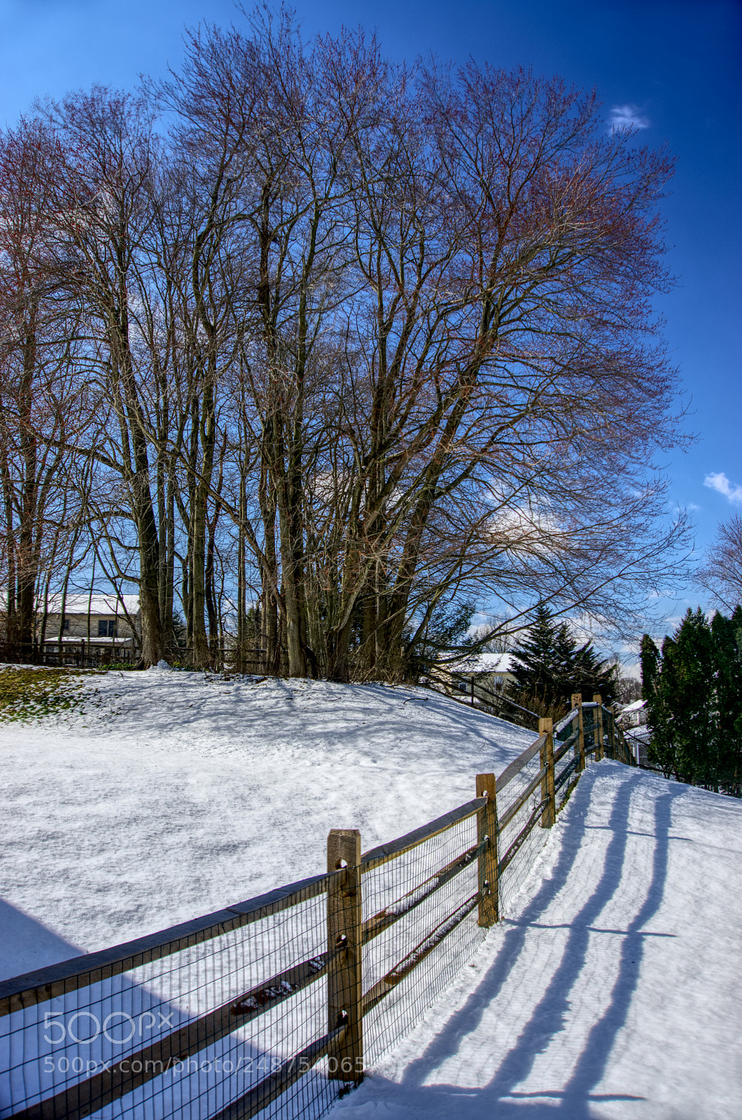 Sony a6000 sample photo. Snow morning 1 photography