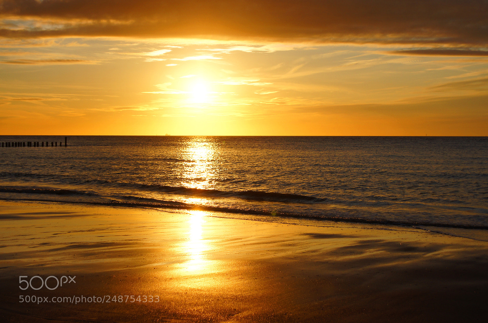 Sony SLT-A55 (SLT-A55V) sample photo. Golden sunset photography