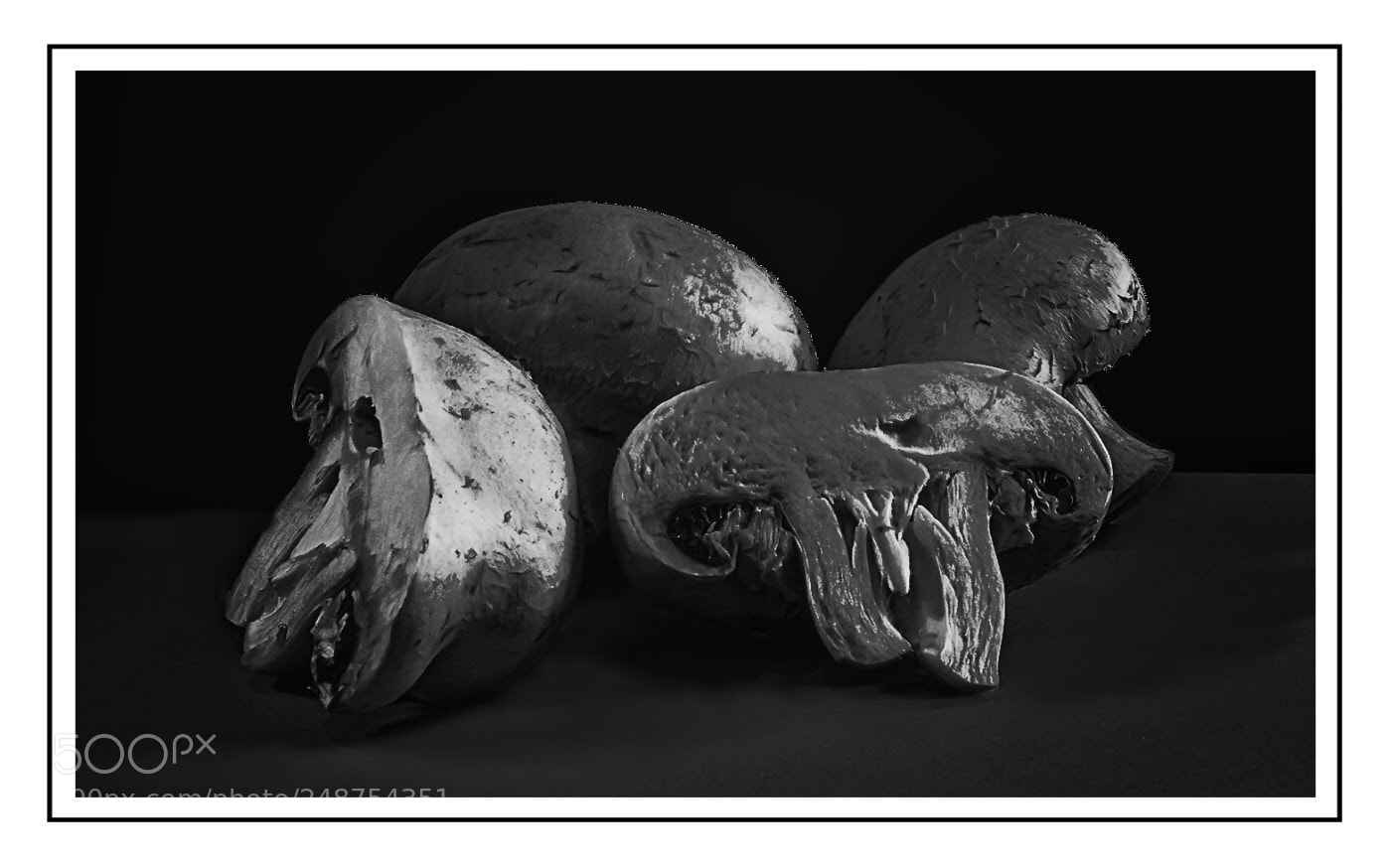 Olympus OM-D E-M5 II sample photo. B & w mushroom textures photography