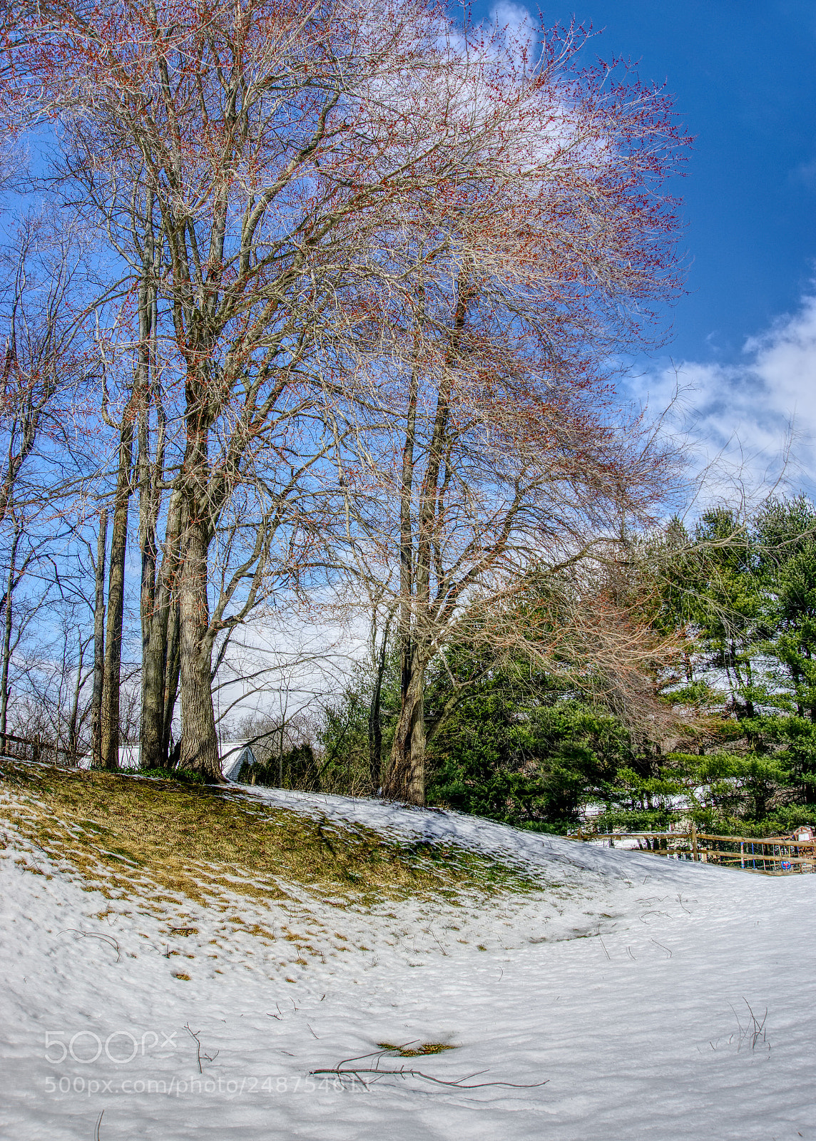 Sony a6000 sample photo. Snow morning photography