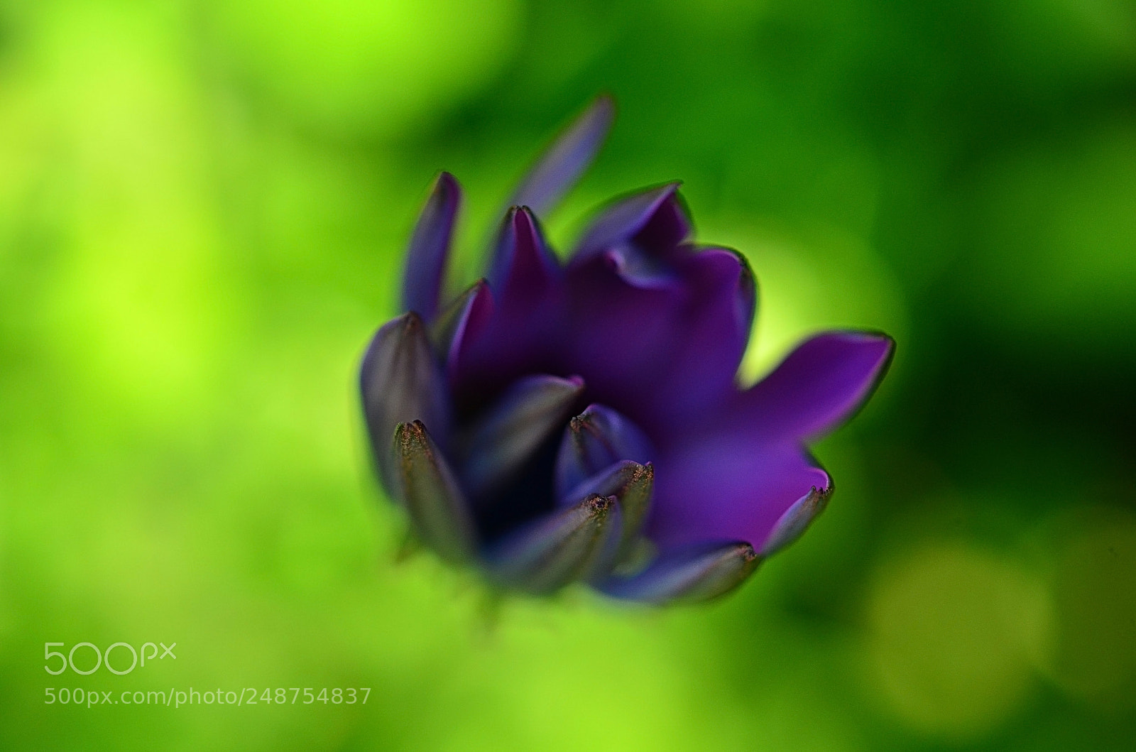 Nikon D7000 sample photo. Sharp edges photography