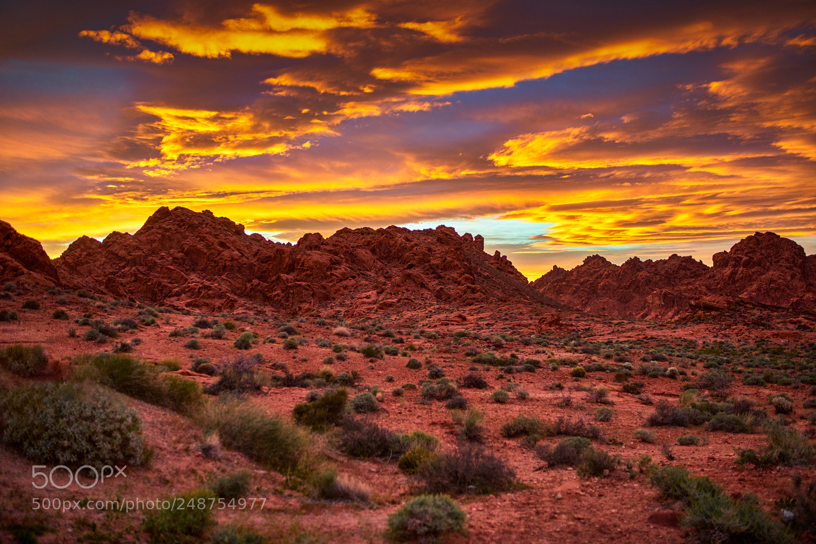 Sony a7R II sample photo. Valley of fire park photography