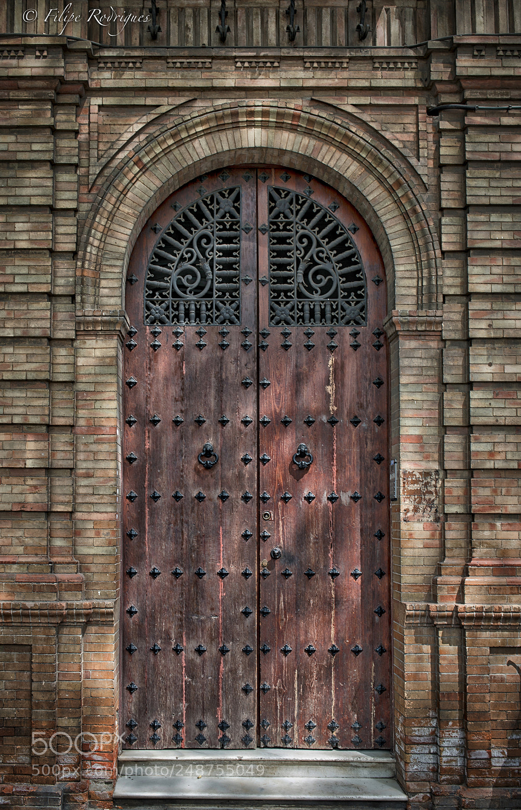 Nikon D800E sample photo. Untitled photography