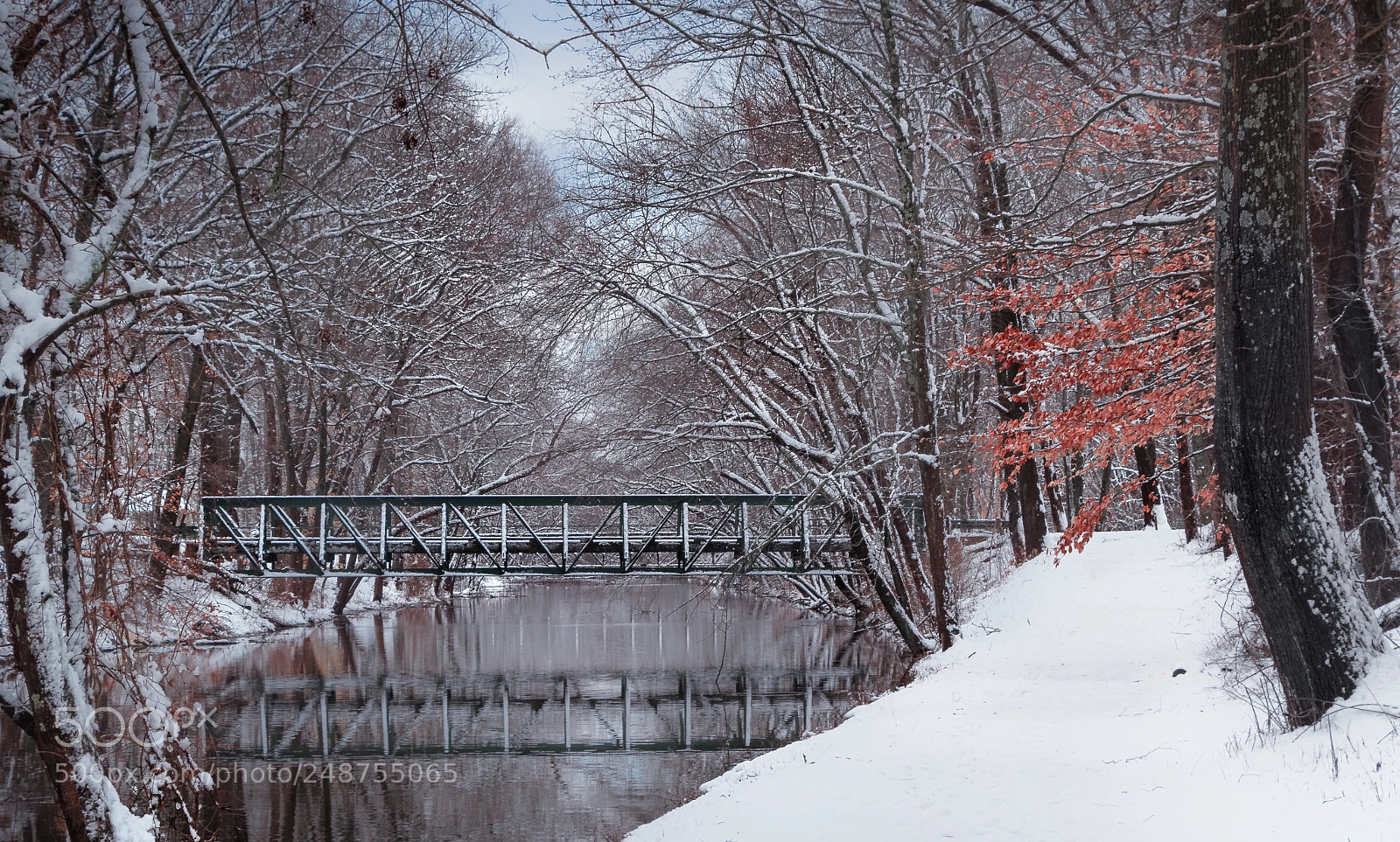 Canon EOS 60D sample photo. Snow painted crossing photography