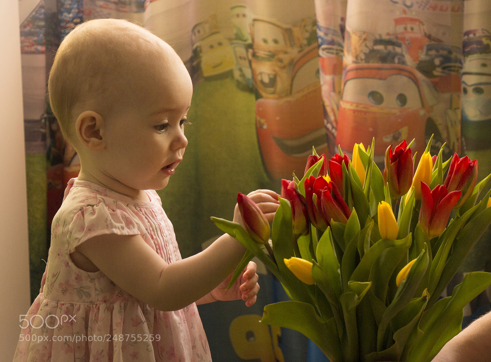 Canon EOS 650D (EOS Rebel T4i / EOS Kiss X6i) sample photo. Lady's first flowers photography
