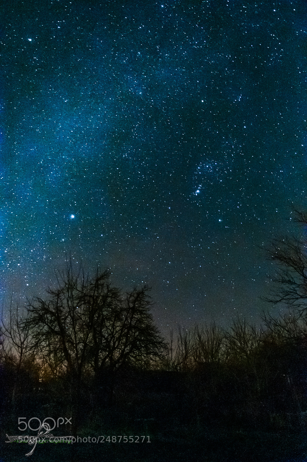 Nikon D90 sample photo. Nightscape photography