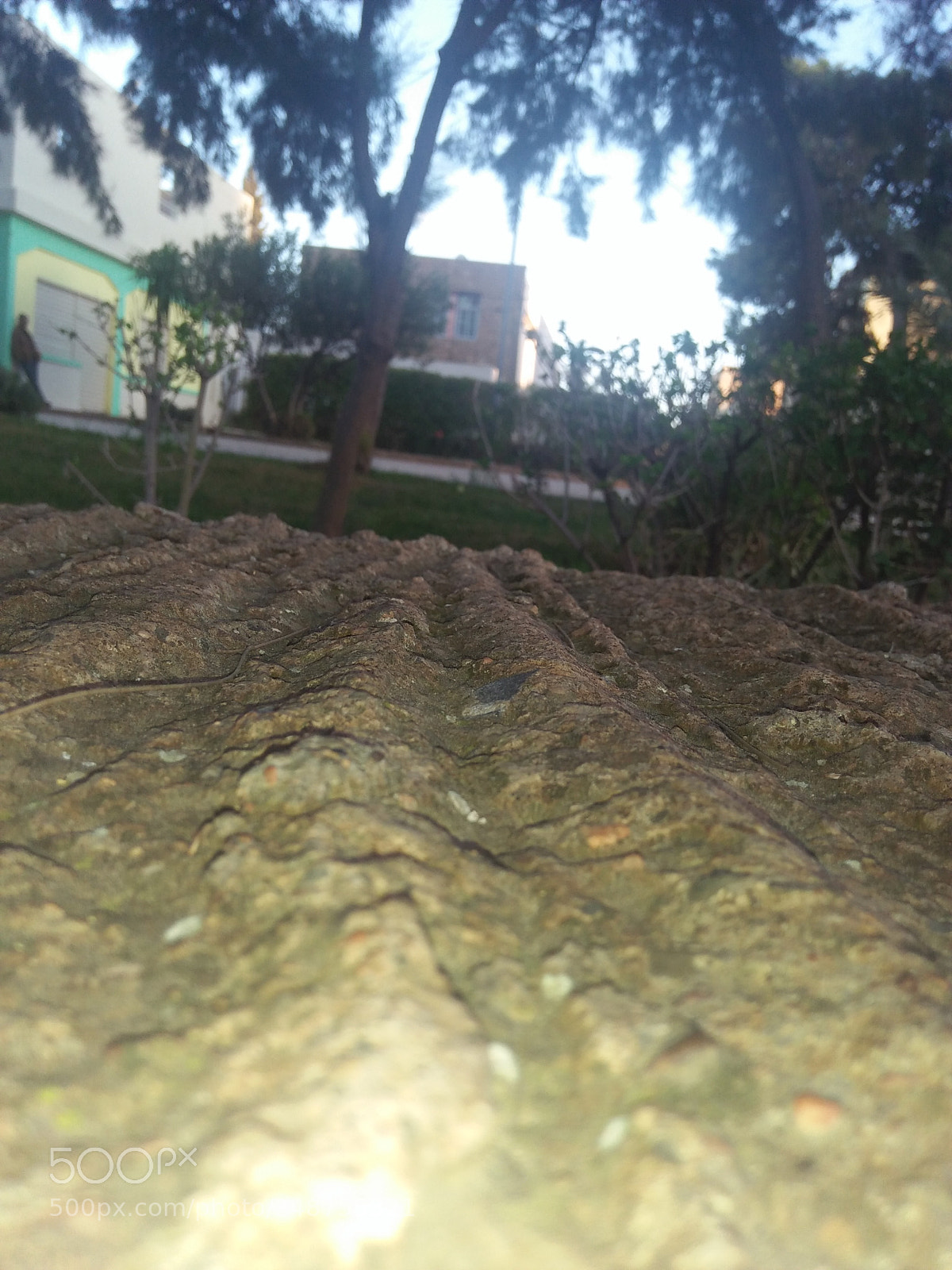 OPPO A37fw-International sample photo. Untitled photography