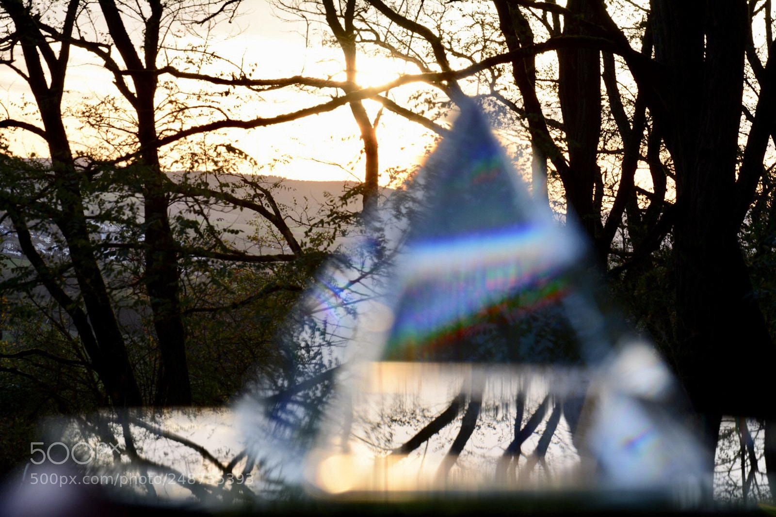 Nikon D7100 sample photo. Untitled photography