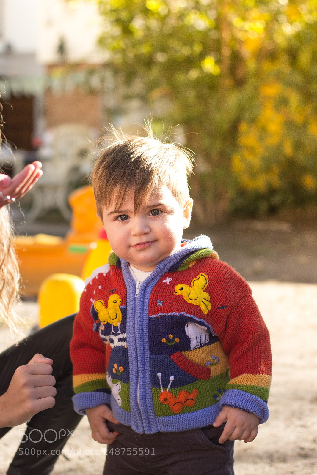 Canon EOS 600D (Rebel EOS T3i / EOS Kiss X5) sample photo. 02.jpg photography