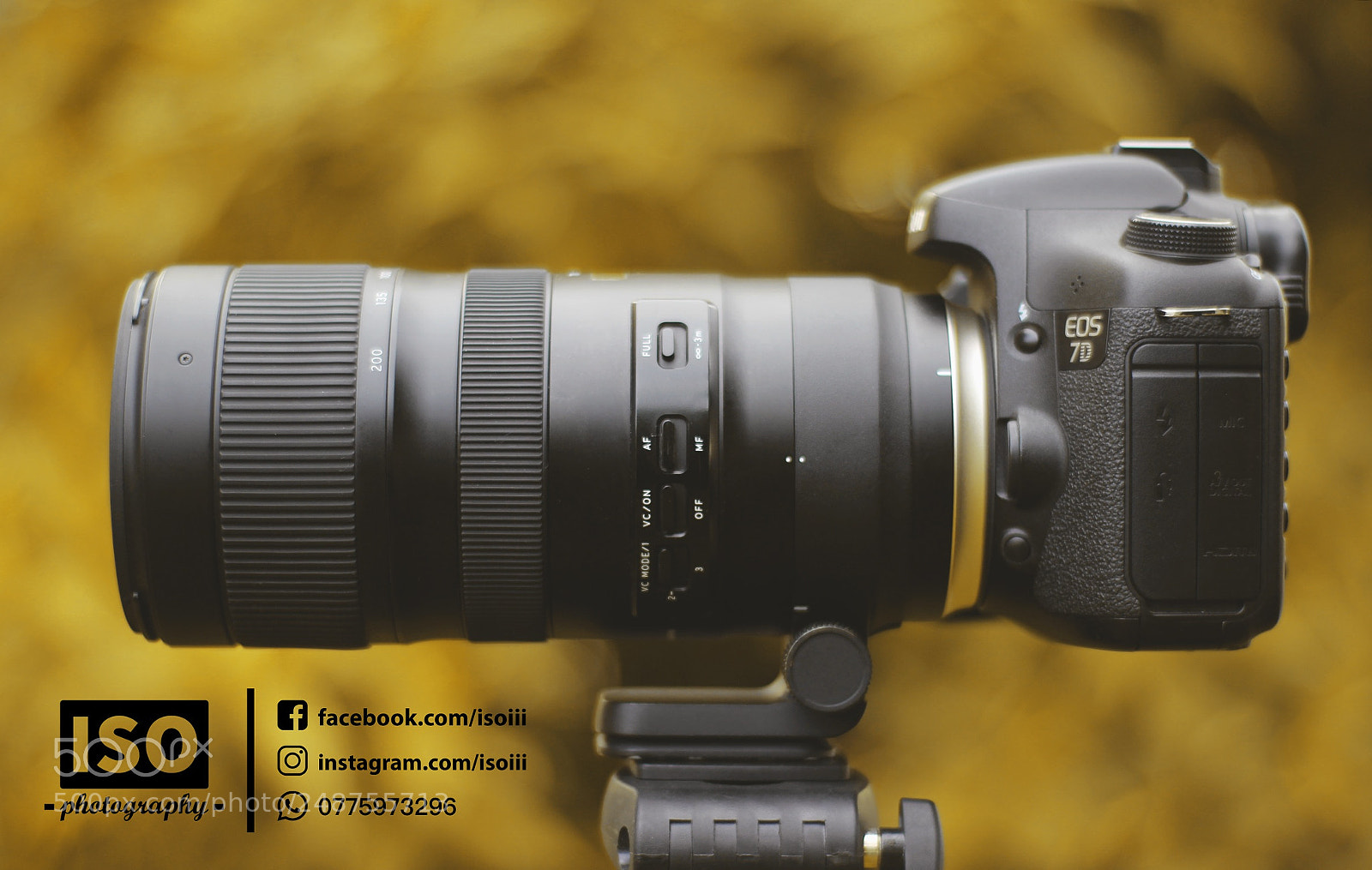 Canon EOS 600D (Rebel EOS T3i / EOS Kiss X5) sample photo. Iso photography