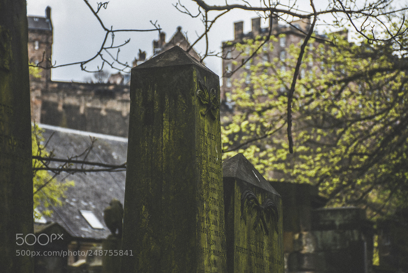 Nikon D7200 sample photo. The graveyard photography