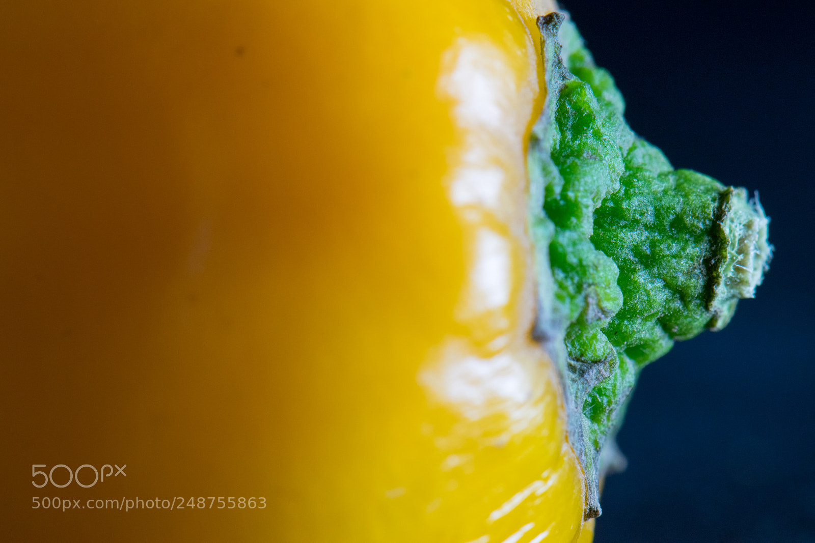 Nikon D5300 sample photo. Pepper no. 7 -  attachment photography