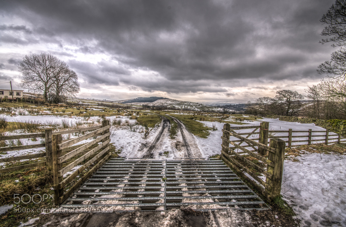 Nikon D7000 sample photo. Cattle grid photography