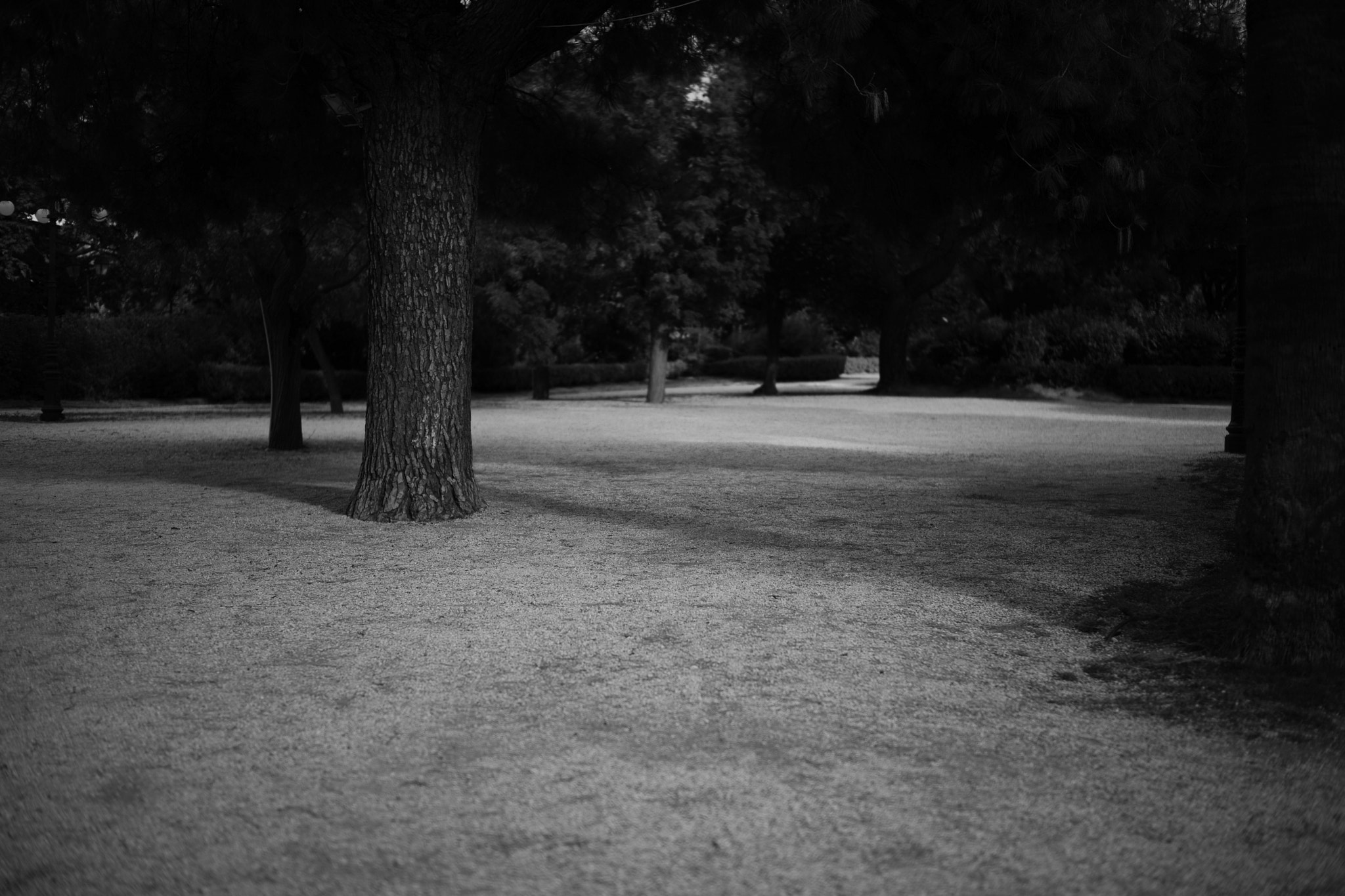 Leica M (Typ 262) sample photo. Athens photography