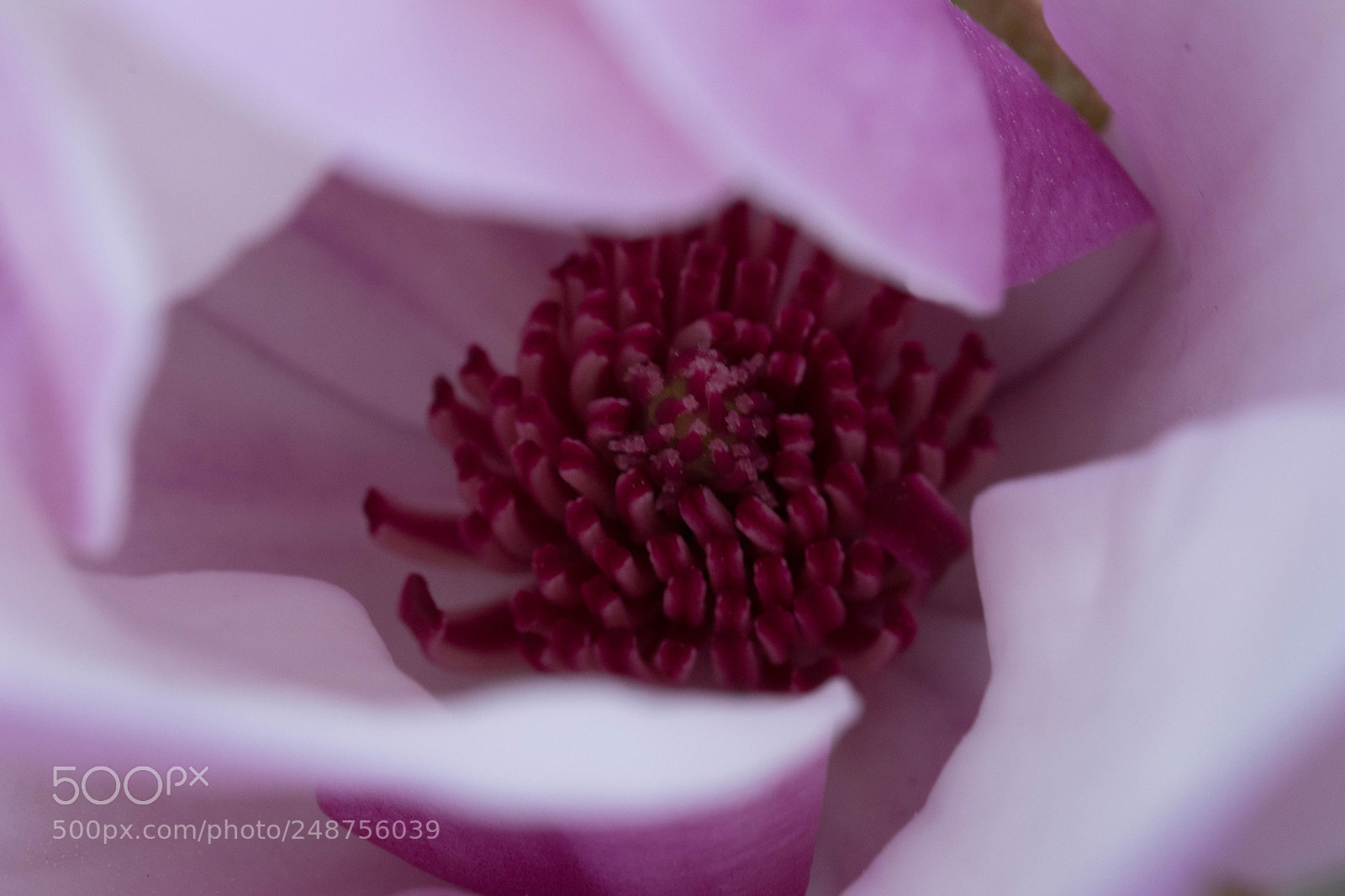 Canon EOS 80D sample photo. Untitled photography