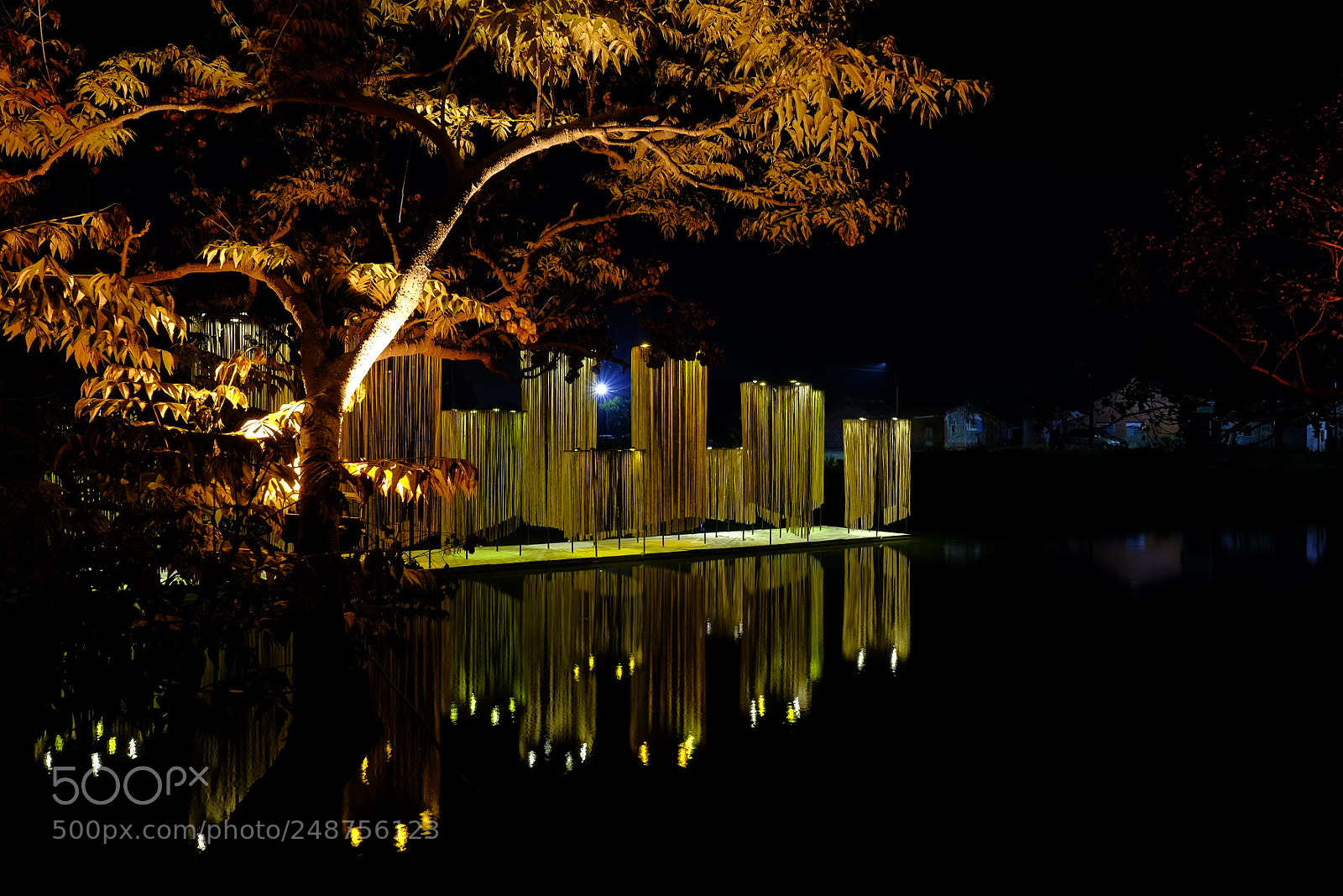 Fujifilm X-T1 sample photo. Untitled photography
