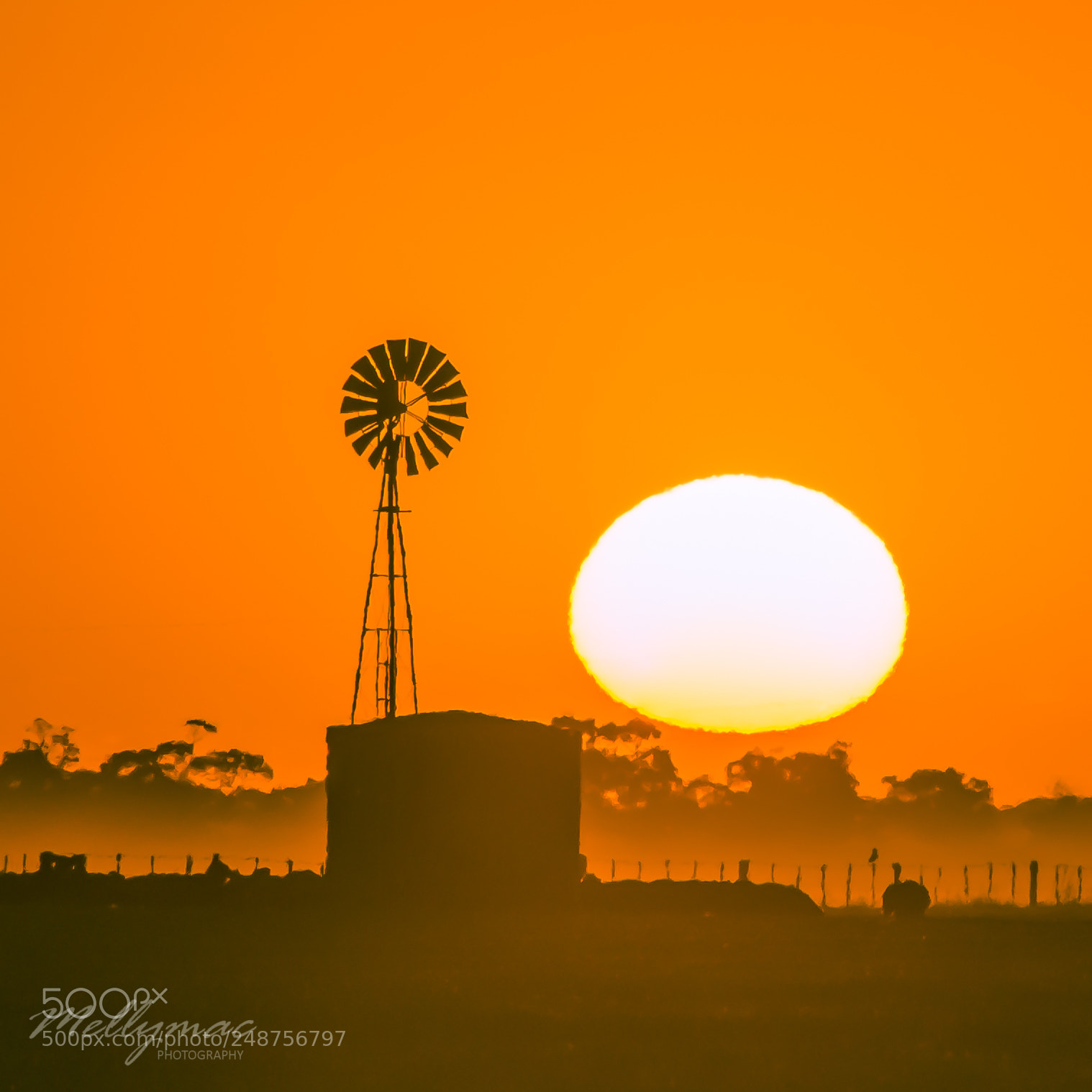 Nikon D7200 sample photo. Australian sunrise photography
