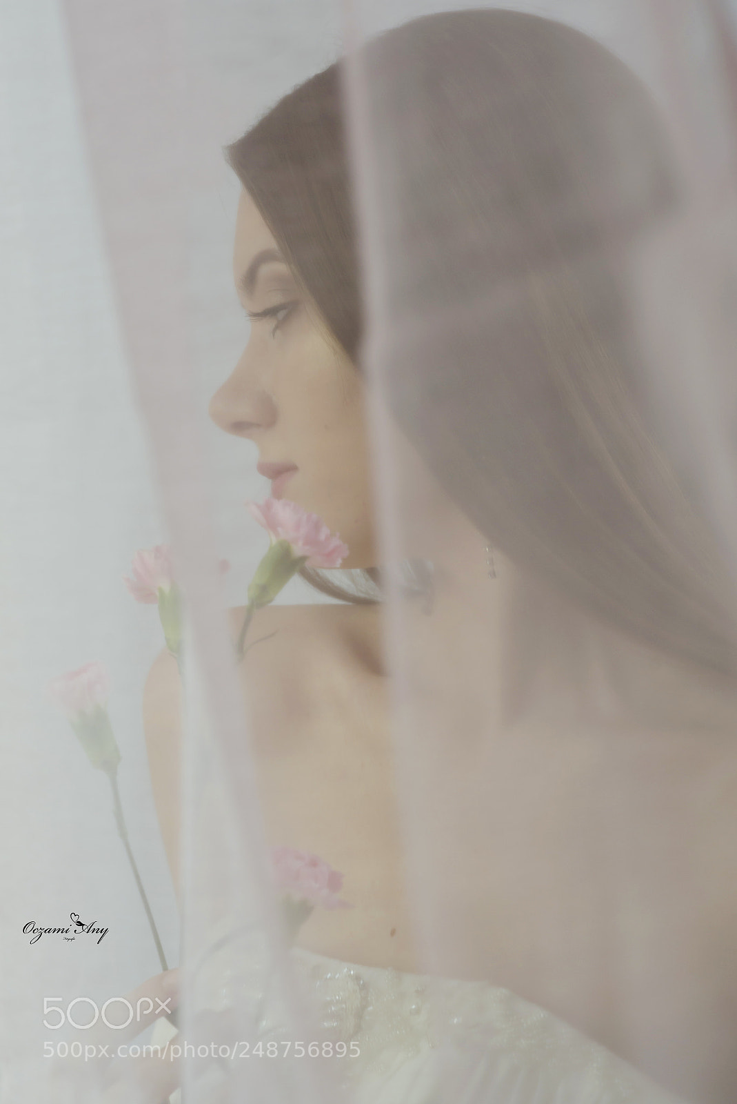 Nikon D610 sample photo. Dominica photography