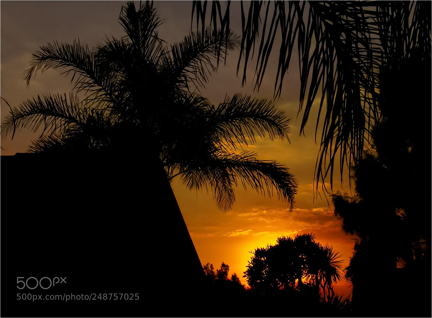 Canon PowerShot G9 X Mark II sample photo. Sunset. photography
