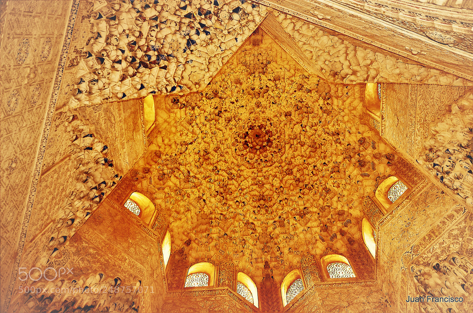 Nikon D5100 sample photo. Untitled photography