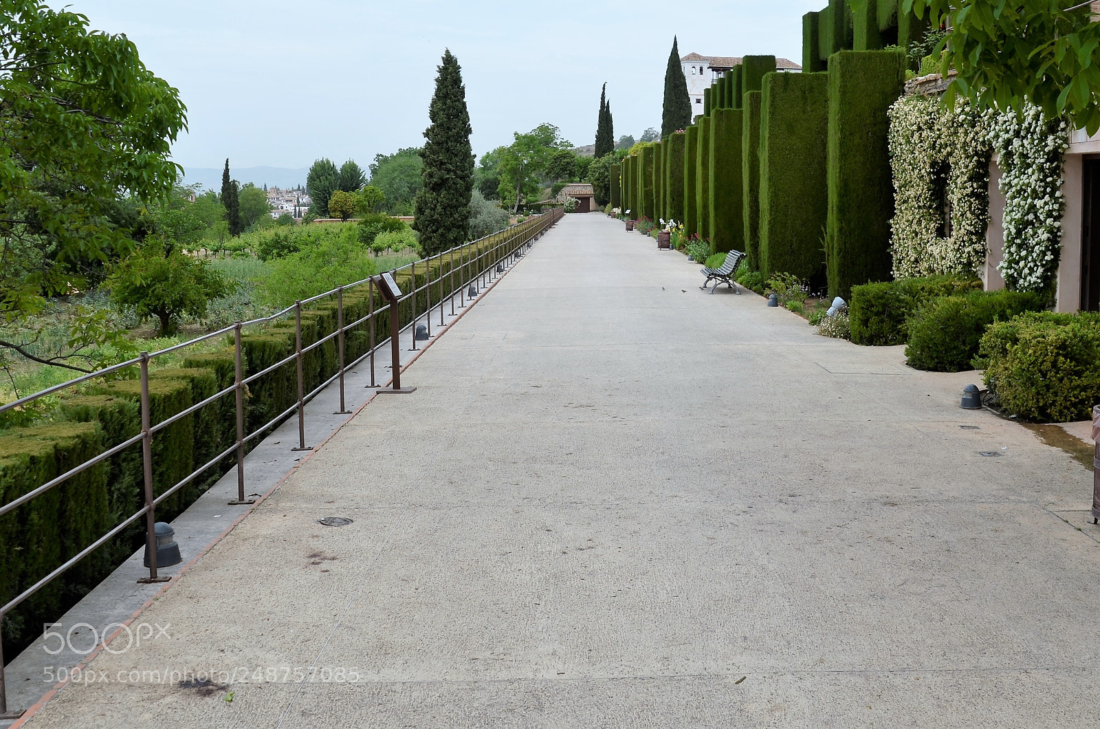 Nikon D5100 sample photo. Untitled photography