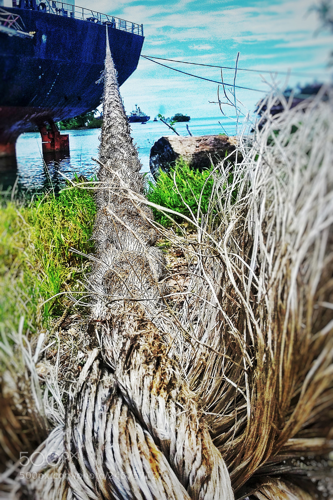Samsung Galaxy Grand Prime sample photo. Stay for the moment photography