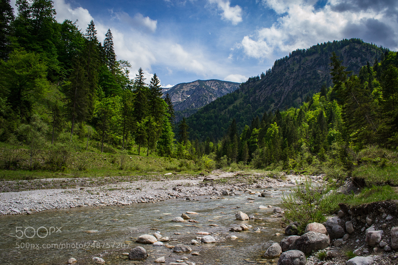 Nikon D3100 sample photo. Bayern photography