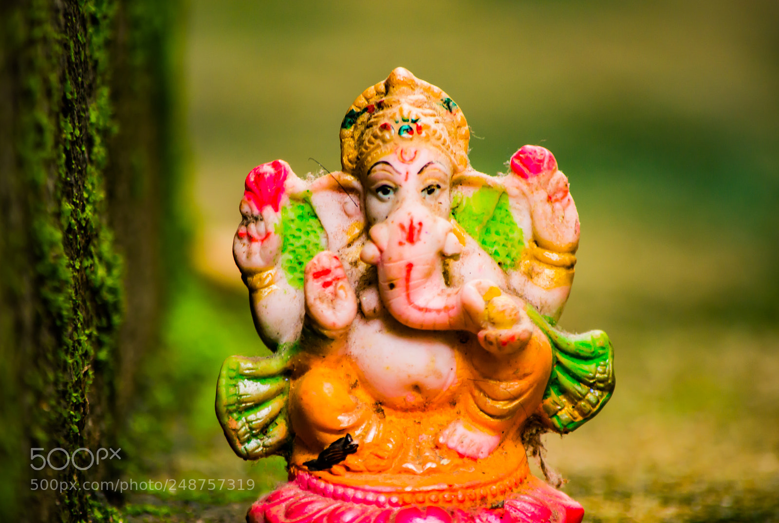 Nikon D3200 sample photo. Lord ganesha photography
