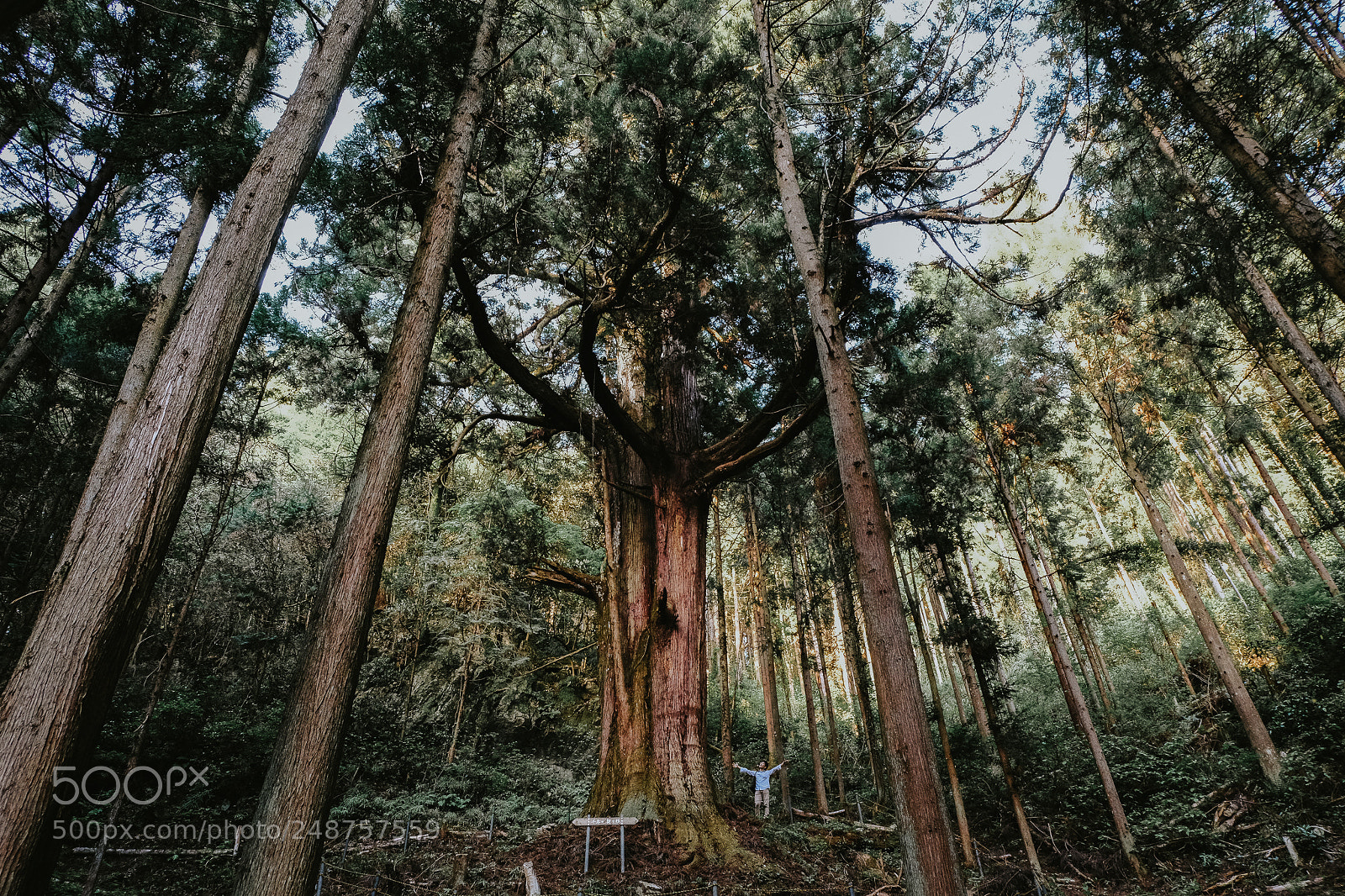 Fujifilm X-T2 sample photo. The calling of the photography