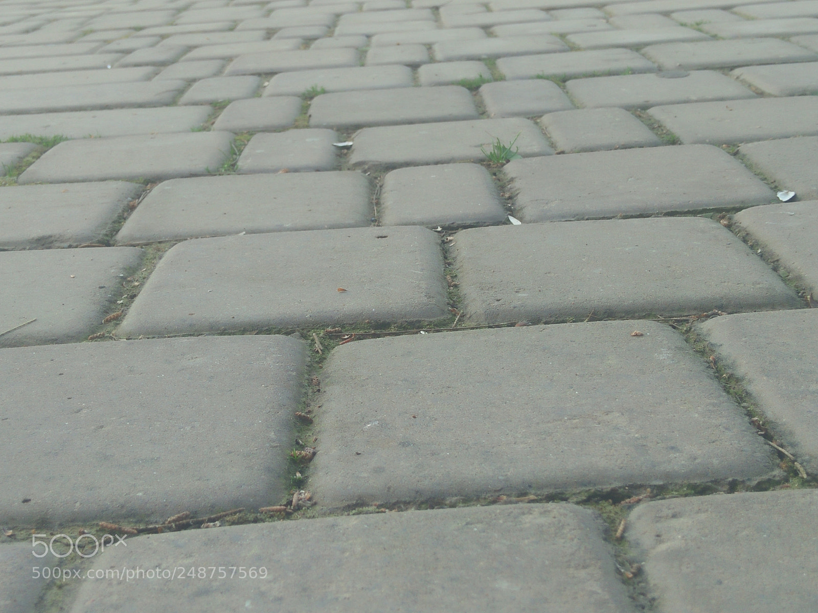 OPPO A37fw-International sample photo. Untitled photography