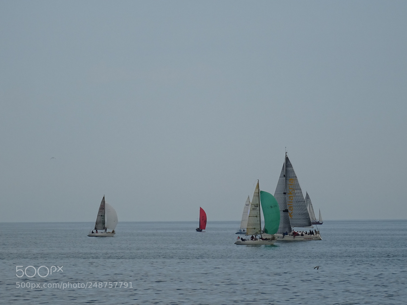 Sony DSC-HX60 sample photo. Boats photography