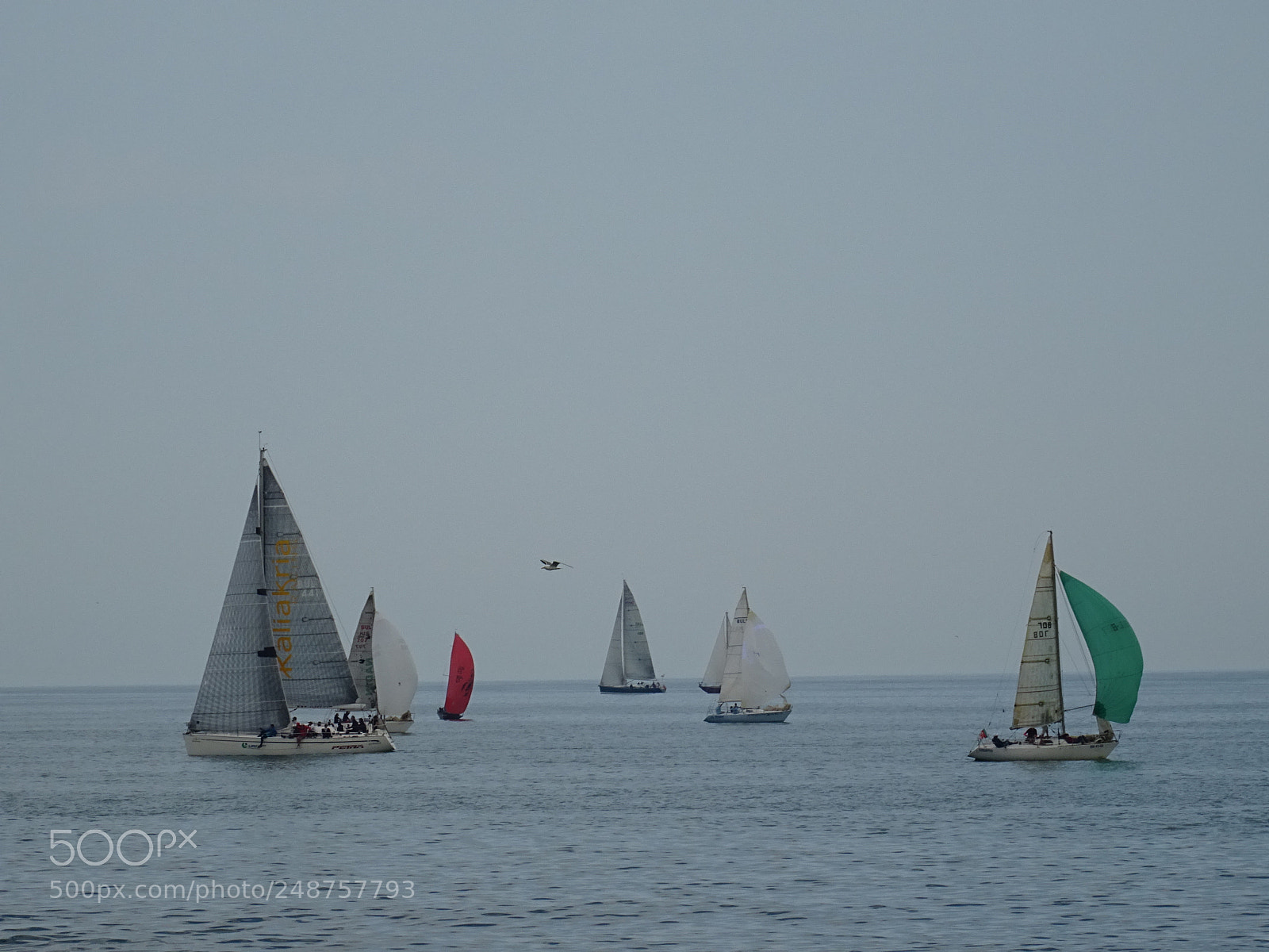 Sony DSC-HX60 sample photo. Boats photography