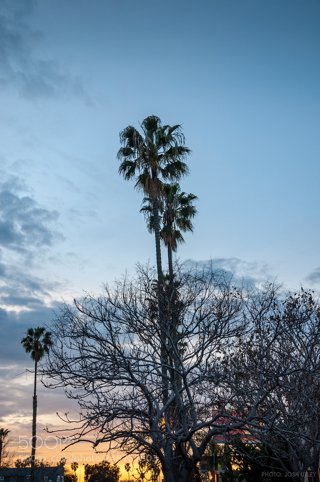 Nikon D90 sample photo. Voltaire beach house photography
