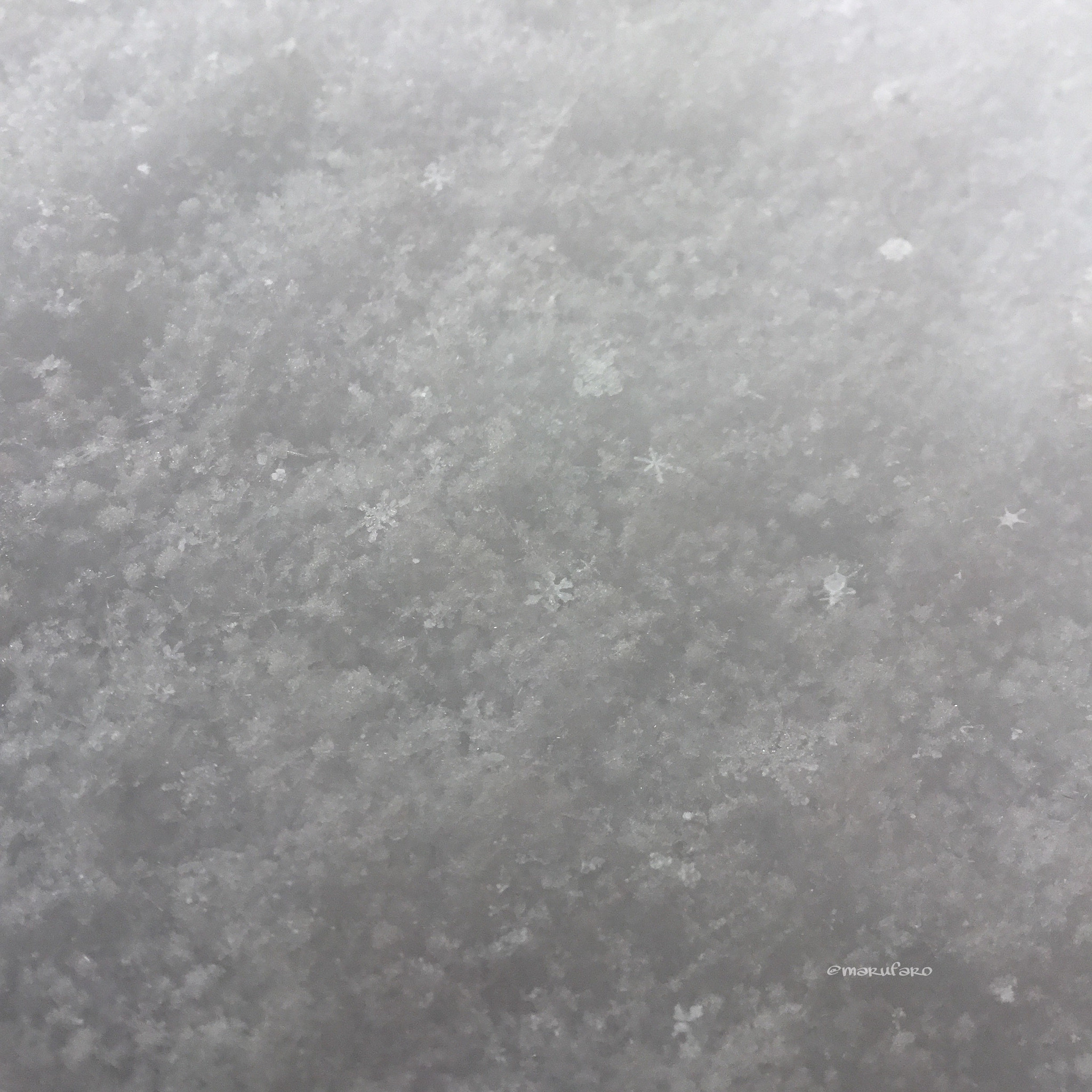 Apple iPad (5th generation) sample photo. Snow❄️ photography