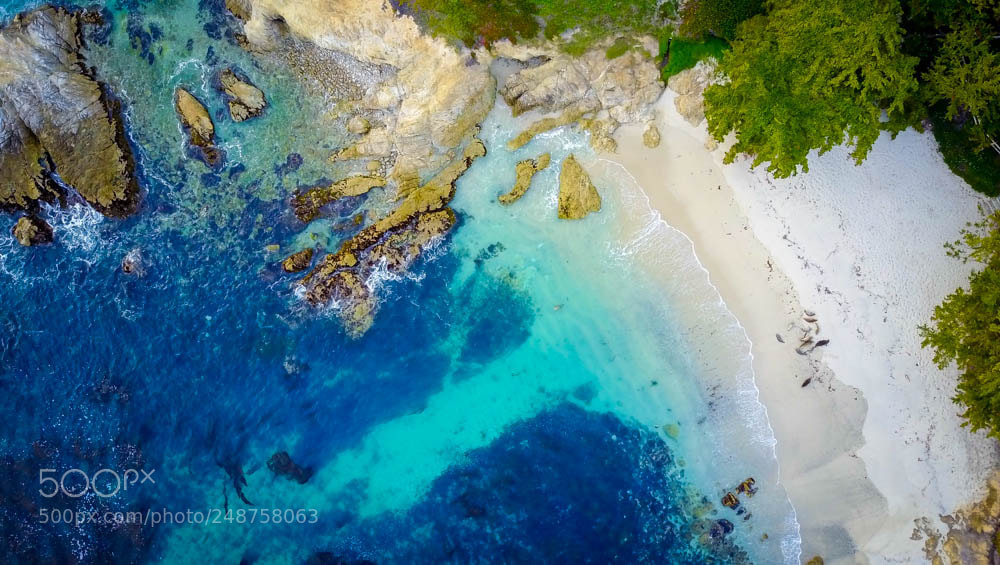 DJI FC220 sample photo. Seals gathering - carmel photography