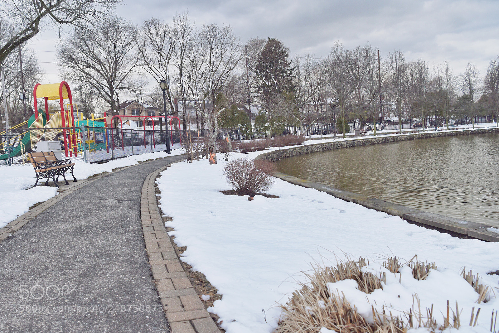 Nikon D810 sample photo. Melting snow photography