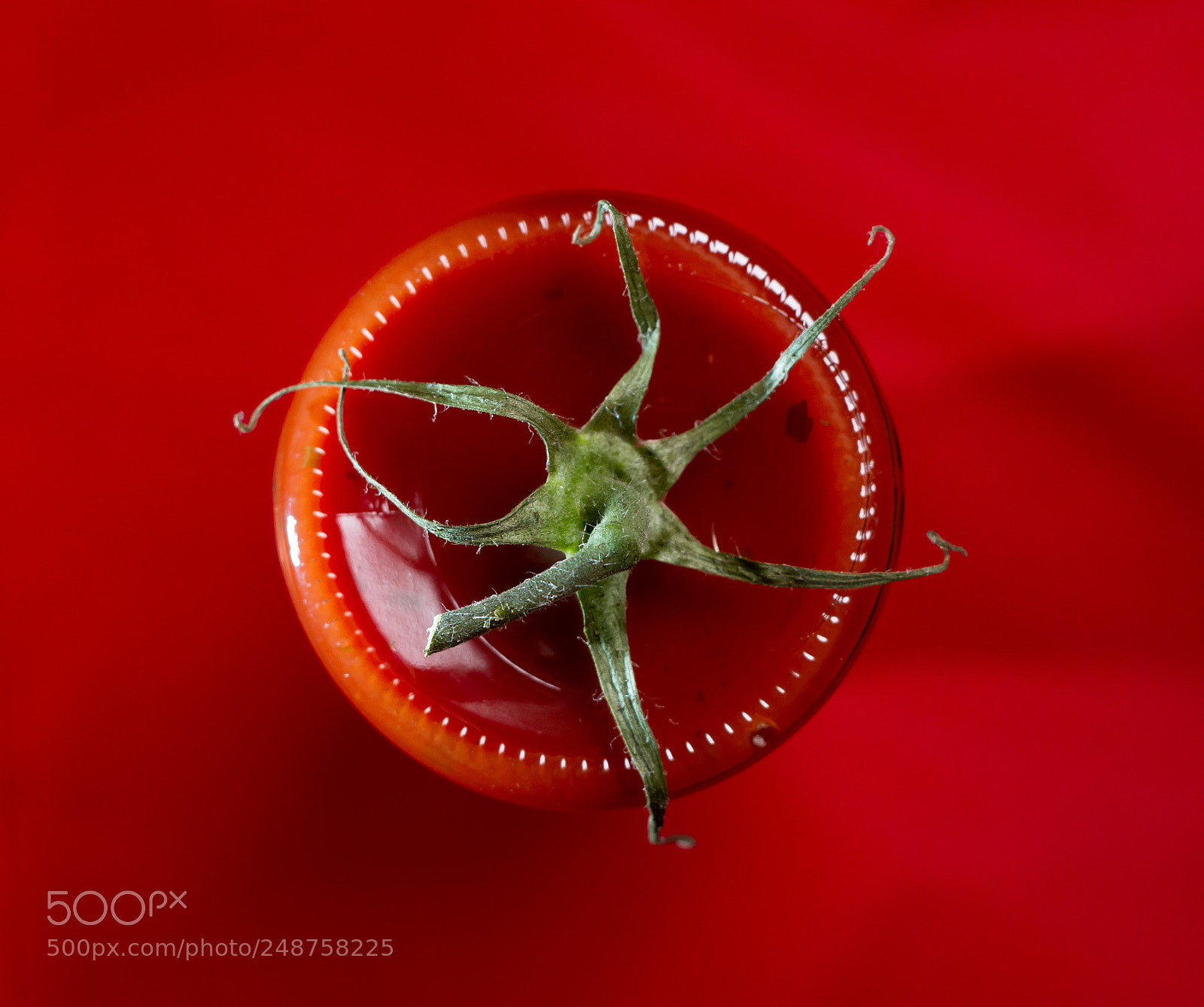 Canon EOS 7D sample photo. Tomato tomato photography