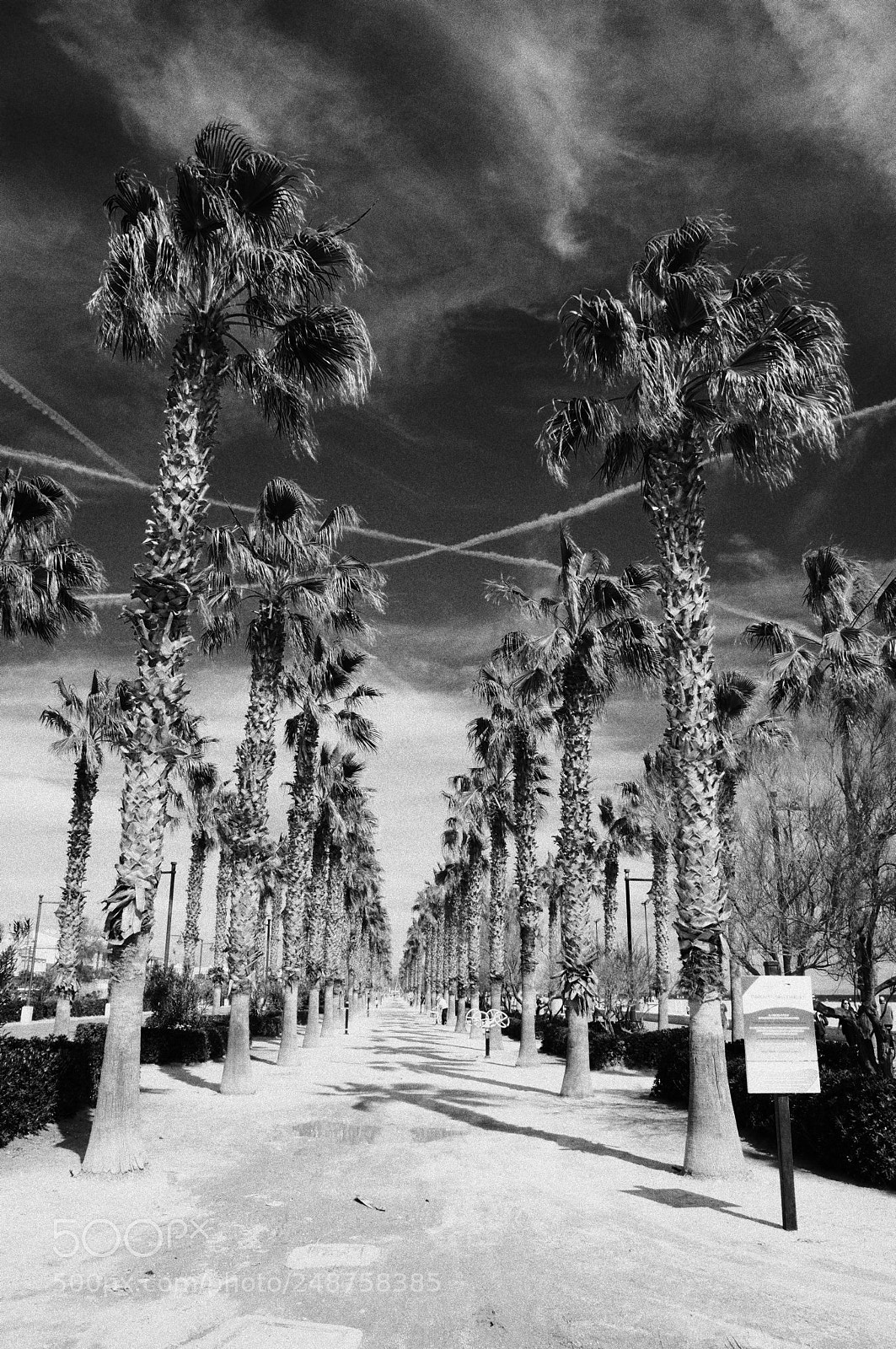 Olympus PEN-F sample photo. Untitled photography