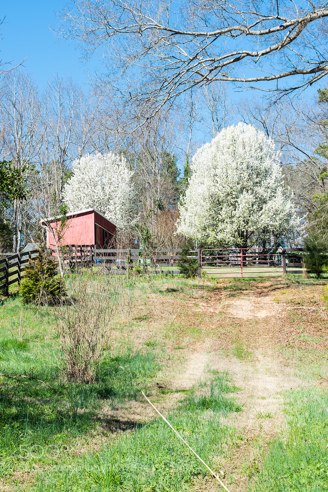 Nikon D5200 sample photo. Early spring photography