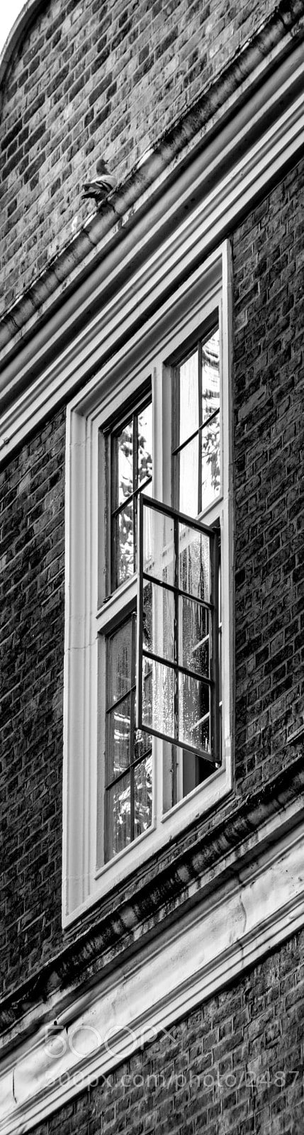 Nikon D7100 sample photo. Escape photography