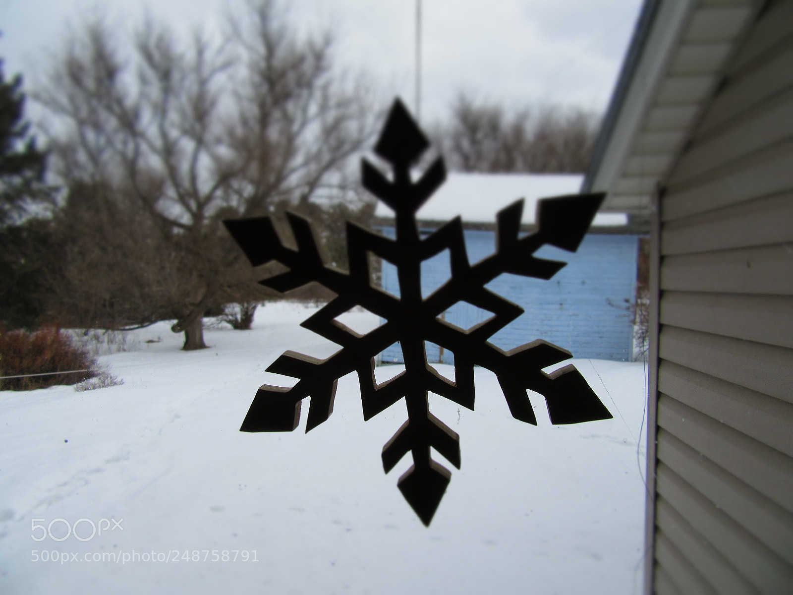 Canon PowerShot SX610 HS sample photo. Snowflake window ornament photography