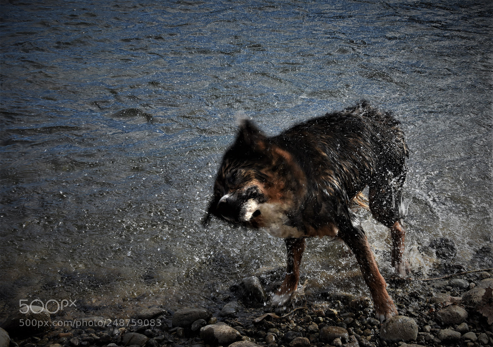 Nikon D7200 sample photo. Water fun photography