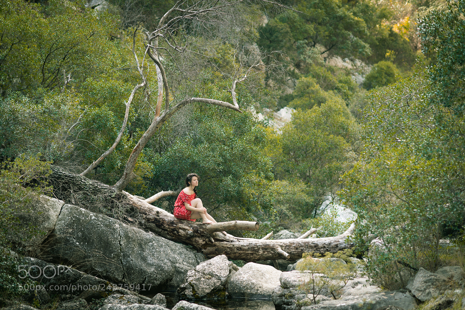 Nikon D800 sample photo. The red dress photography