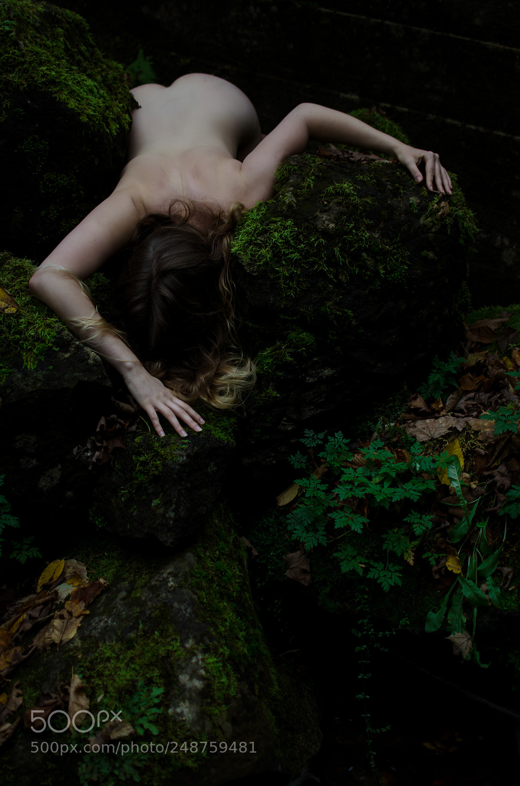 Nikon D5100 sample photo. Incarnate photography