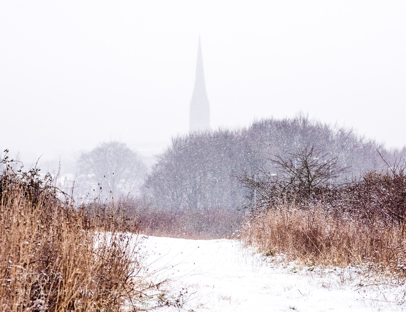 Nikon D810 sample photo. Salisbury in the snow. photography