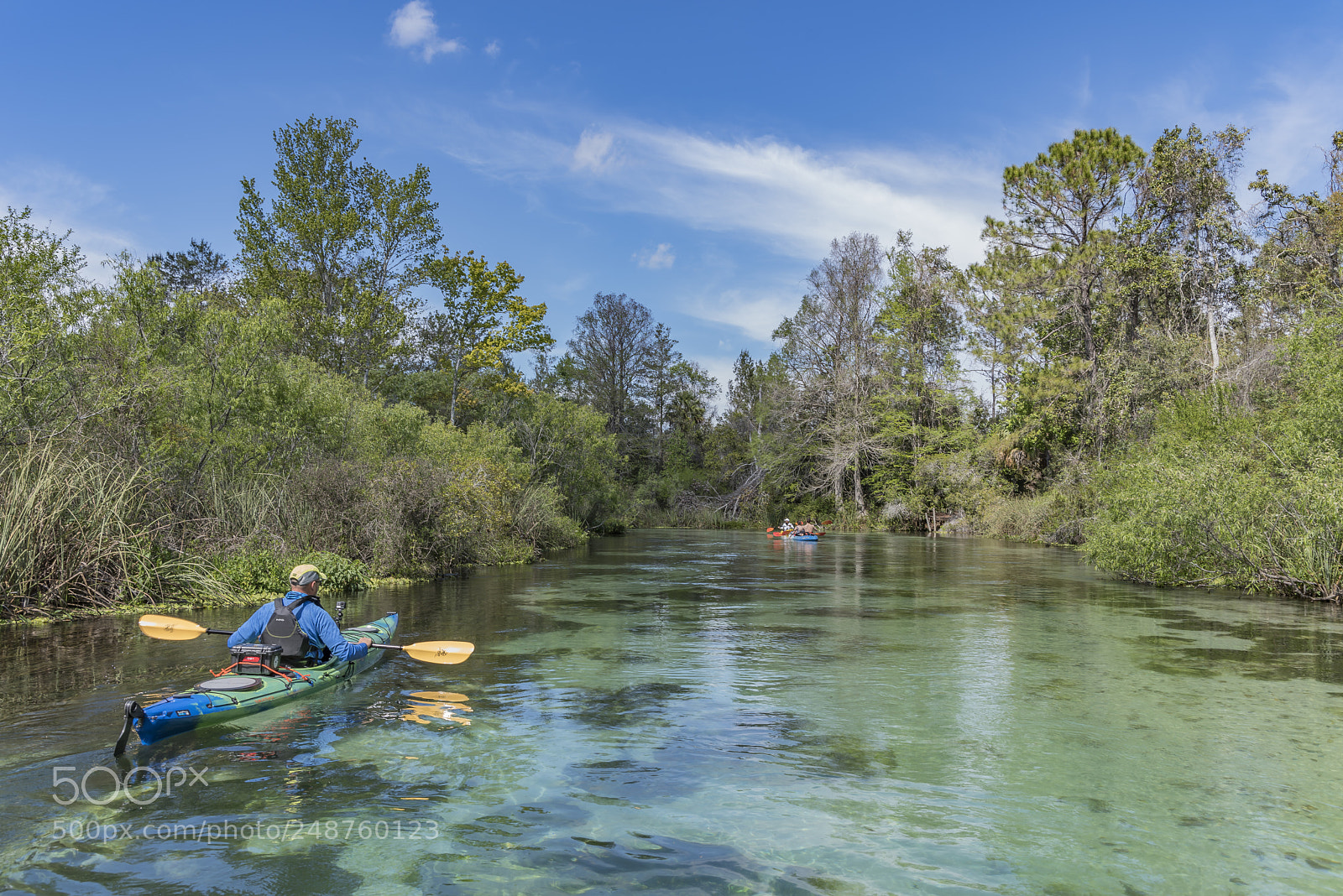 Pentax K-1 sample photo. Weeki wachee river.... photography