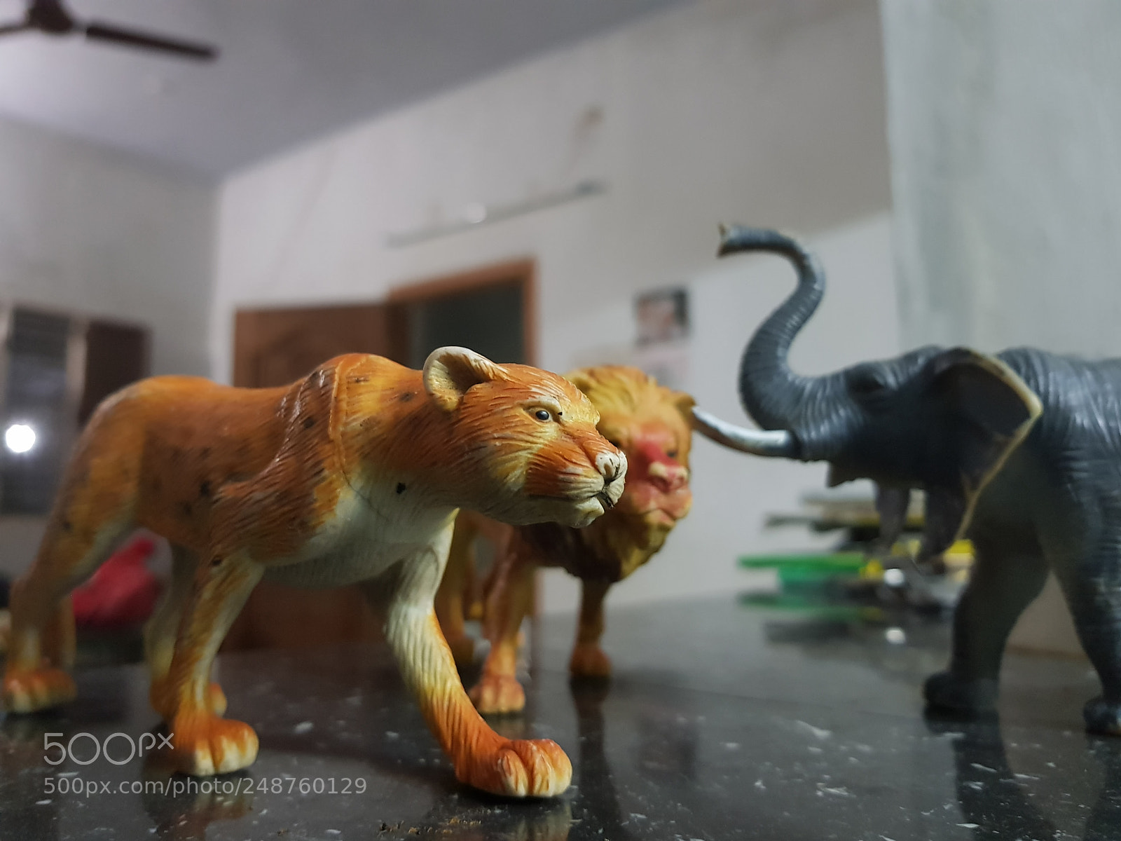 Samsung Galaxy S8 sample photo. Untitled photography