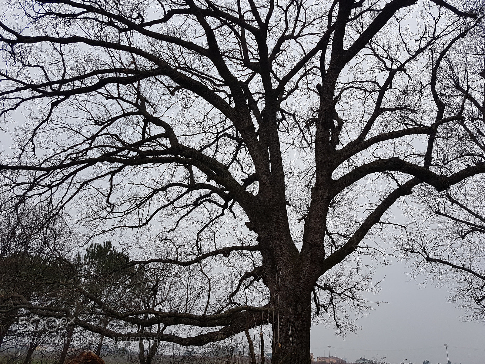 Samsung Galaxy S7 sample photo. Untitled photography